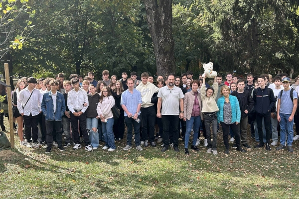 Medve Matek GO Őszi Csapatverseny 2025